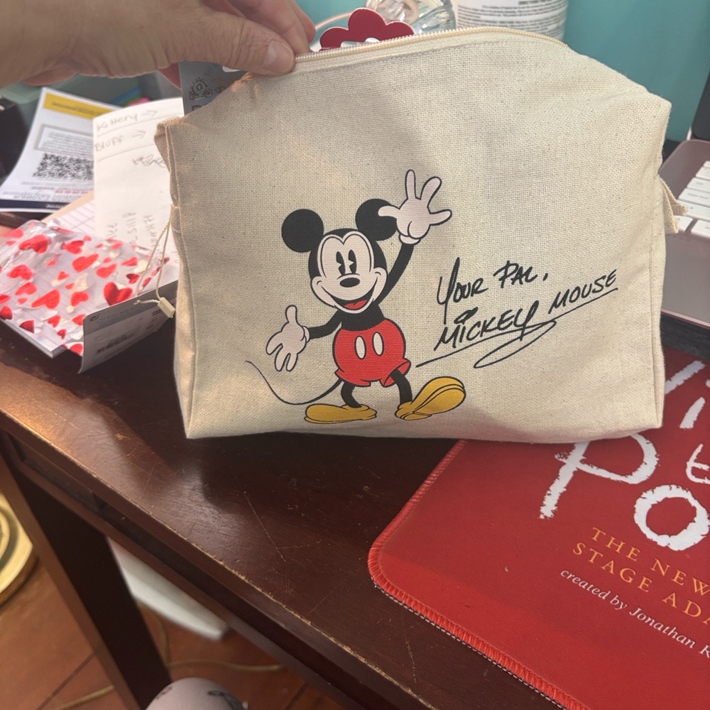 Disney canvas pouch NWT